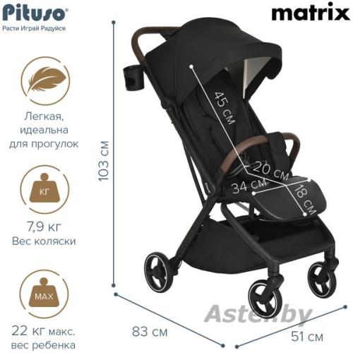 Коляска прогулочная Pituso MATRIX Black A19/Black