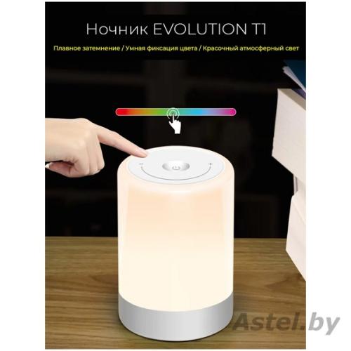 Ночник Светодиодный EVOLUTION T1