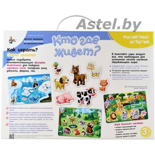 Игра Магнитные истории Кто где живет? (4 поля, 36 магнитов) 2652