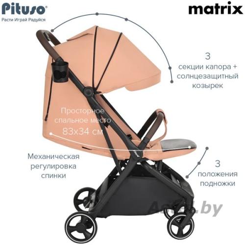 Коляска прогулочная Pituso MATRIX Cappuccino A19/Cappuccino