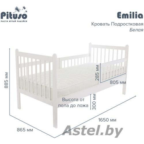 Кровать Подростковая PITUSO Emilia New Белая J-501 160х80 (2 места)