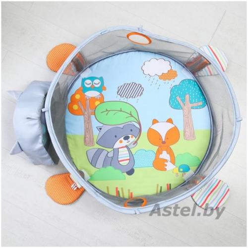 Развивающий коврик Енот (+30 шириков)