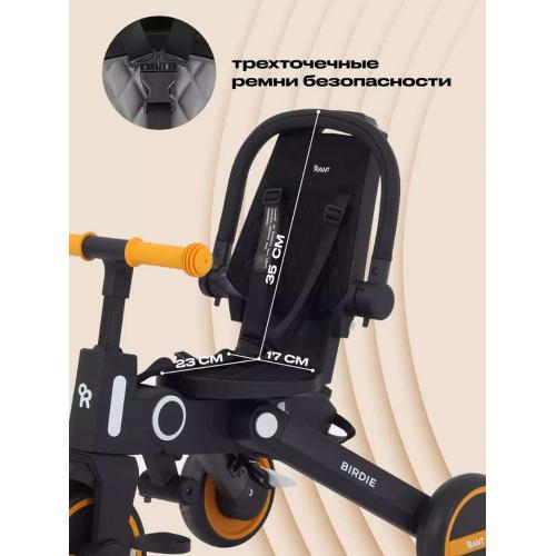 Трехколесный велосипед с ручкой Rant Birdie RB202 (графит) 8840505