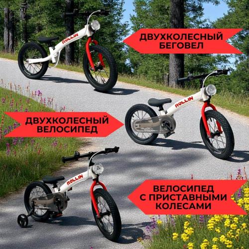Детский беговел Bubago Rollin 166-3 Красный (14")