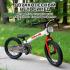Детский беговел Bubago Rollin 166-3 Красный (14")