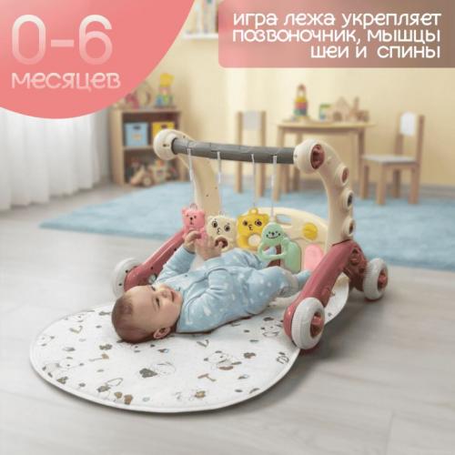 Детские ходунки BubaGo Buzzle BG 184-1 Коралловый