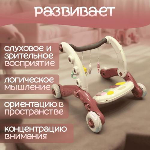 Детские ходунки BubaGo Buzzle BG 184-1 Коралловый
