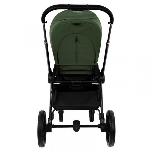 Коляска 2 в1 PITUSO Mayla Luxury Forest Green (LXR/555-F.GREEN)