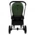 Коляска 2 в1 PITUSO Mayla Luxury Forest Green (LXR/555-F.GREEN)