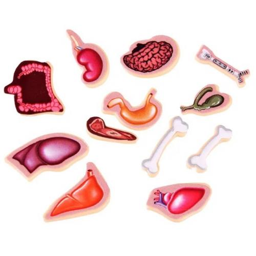 Настольная развивающая игра Доктор Crazy Doctor 1295-3