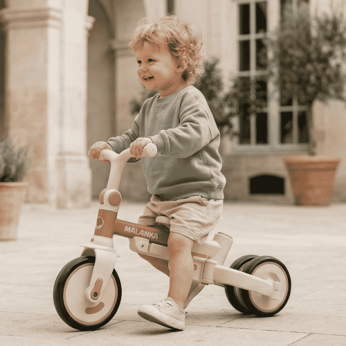 Детский велосипед Bubago Malanka BG 211-2 Коричневый (коричневая рама)