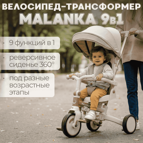 Детский велосипед Bubago Malanka BG 211-2 Коричневый (коричневая рама)