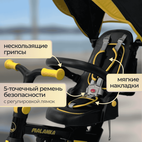 Детский велосипед Bubago Malanka BG 211-3 Черный (чёрно-жёлтый)