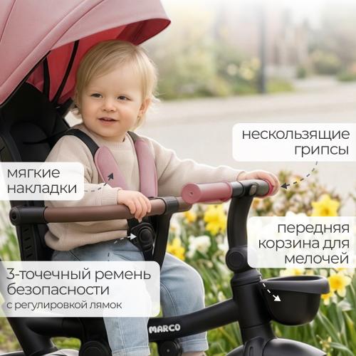 Детский велосипед трехколесный BubaGo Marco BG 214-1 Розовый