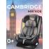 Автокресло TRON CAMBRIDGE Grey pull (без Isofix) 0-36 кг
