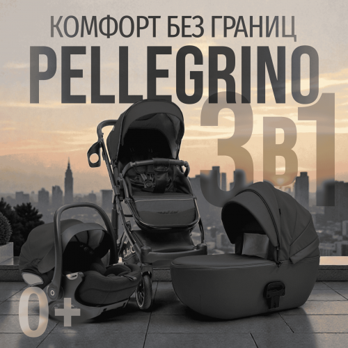 Коляска детская Bubago Pellegrino 3в1 BG 163-1 черный