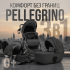 Коляска детская Bubago Pellegrino 3в1 BG 163-1 черный