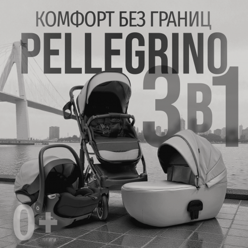Коляска детская Bubago Pellegrino 3в1 BG 163-2 Серый