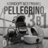 Коляска детская Bubago Pellegrino 3в1 BG 163-2 Серый