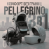 Коляска детская Bubago Pellegrino 3в1 BG 163-4 зеленый