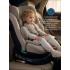 Автокресло Pituso Roys Lux Truffel / трюфель (i-Size) (0-36 кг IsoFix) C014-LUX-Truffel