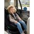 Автокресло Pituso Roys Lux black / черный (i-Size) (0-36 кг IsoFix) C014-LUX-Black