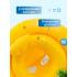 Надувной круг с трусиками Intex My baby float 56585 с сиденьем (диаметр 67 см, от 1-2 лет)