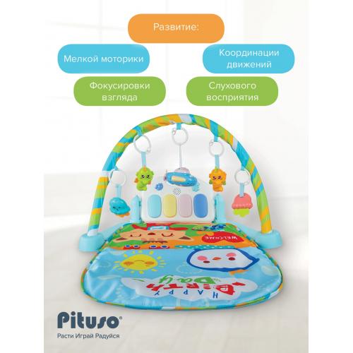 Развивающий коврик Pituso Happy Birthday HW21020888 с пианино 80*65 см (пульт, свет)
