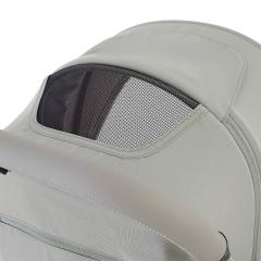 Коляска прогулочная Pituso Joya Sage Green / PU