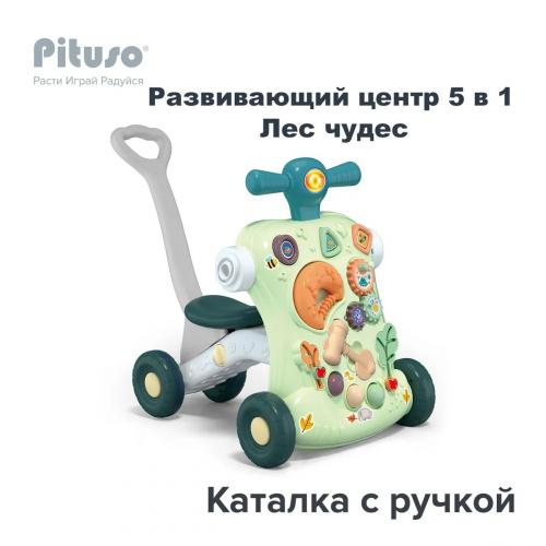 Ходунки-каталка-столик PITUSO 5в1 Лес чудес (свет,звук) HW23020985