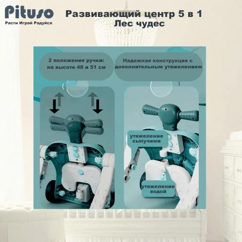 Ходунки-каталка-столик PITUSO 5в1 Лес чудес (свет,звук) HW23020985