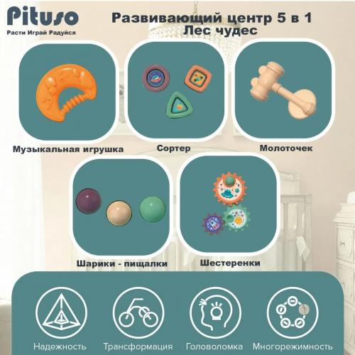 Ходунки-каталка-столик PITUSO 5в1 Лес чудес (свет,звук) HW23020985