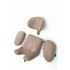 Автокресло Carrello Octopus / K83 (Sandstone Beige) 0-36 кг