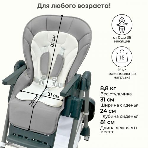 Стульчик для кормления Bubago Amelia Светло-Серый / Light-Grey BG 103-2