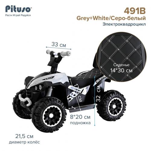 PITUSO Электроквадроцикл 491B 6V/4,5Ah,20W*1 свет,муз Grey+White/Серо-белый 3750491B-Grey