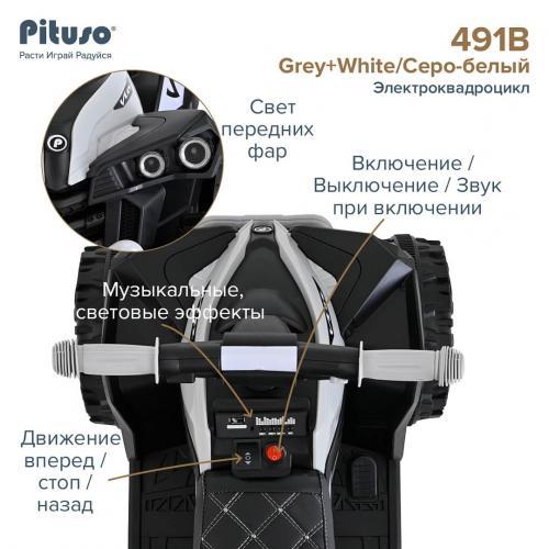 PITUSO Электроквадроцикл 491B 6V/4,5Ah,20W*1 свет,муз Grey+White/Серо-белый 3750491B-Grey